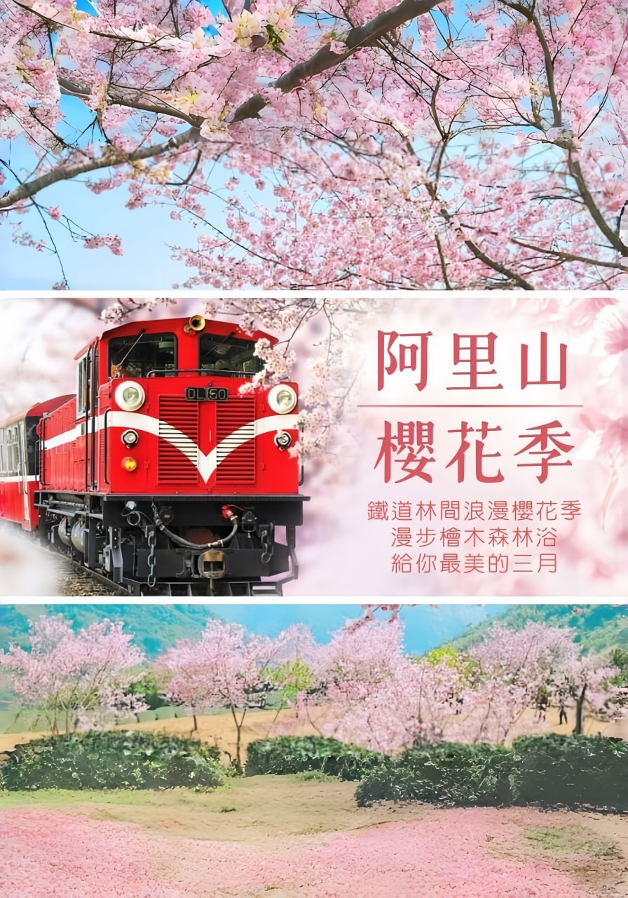 阿里山國家森林遊樂區